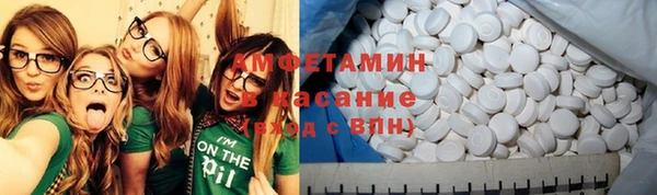 ПСИЛОЦИБИНОВЫЕ ГРИБЫ Абаза